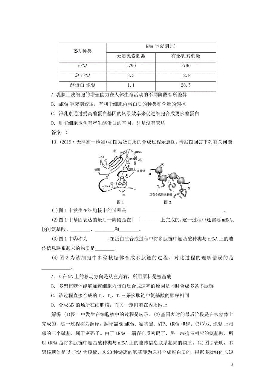 2019_2020学年高中生物第4章基因的表达第1节基因指导蛋白质的合成演练强化提升新人教版必修2.doc_第5页