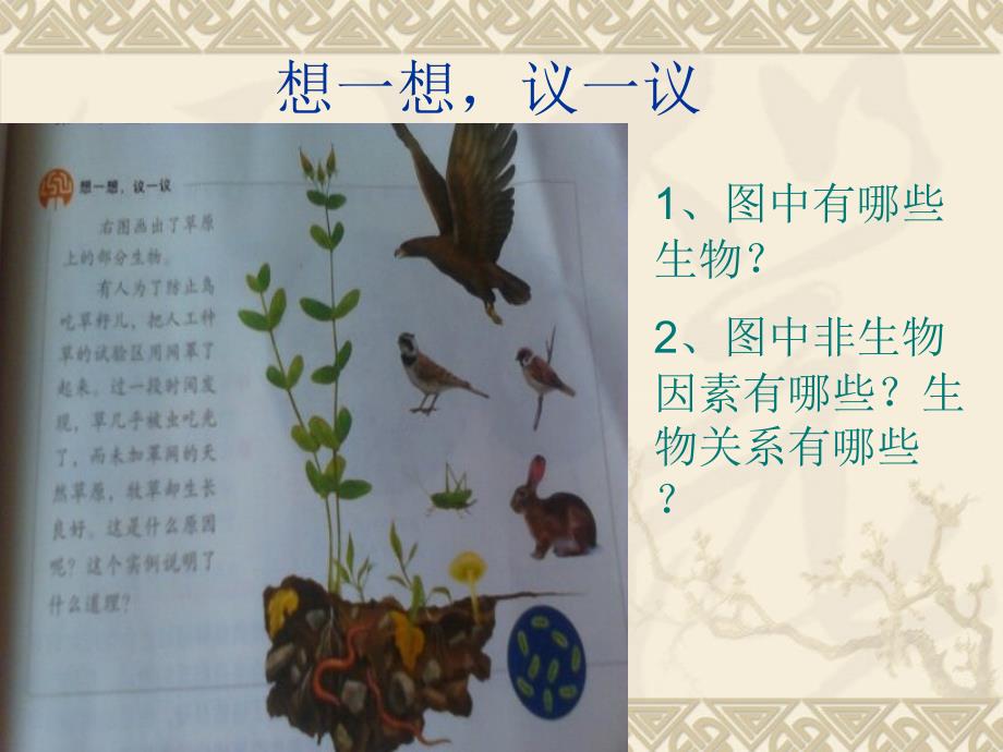 第二节生物与环境组成生态系统_第2页