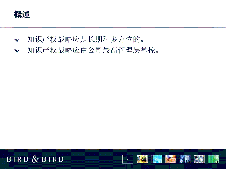 企业知识产权战略与管理_第2页