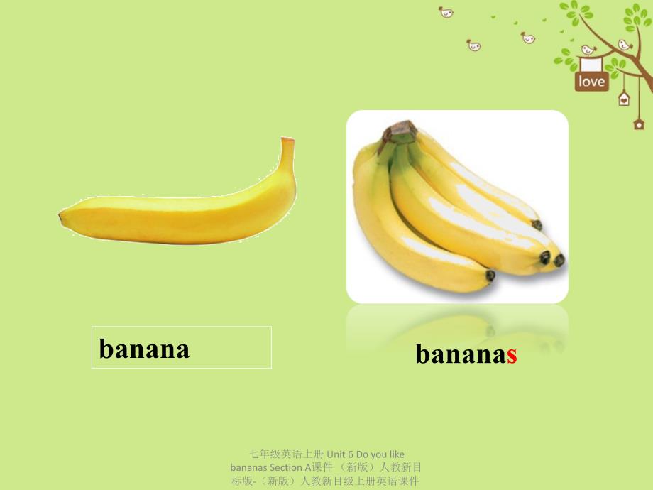 最新七年级英语上册Unit6DoyoulikebananasSectionA课件新版人教新目标版新版人教新目级上册英语课件_第3页