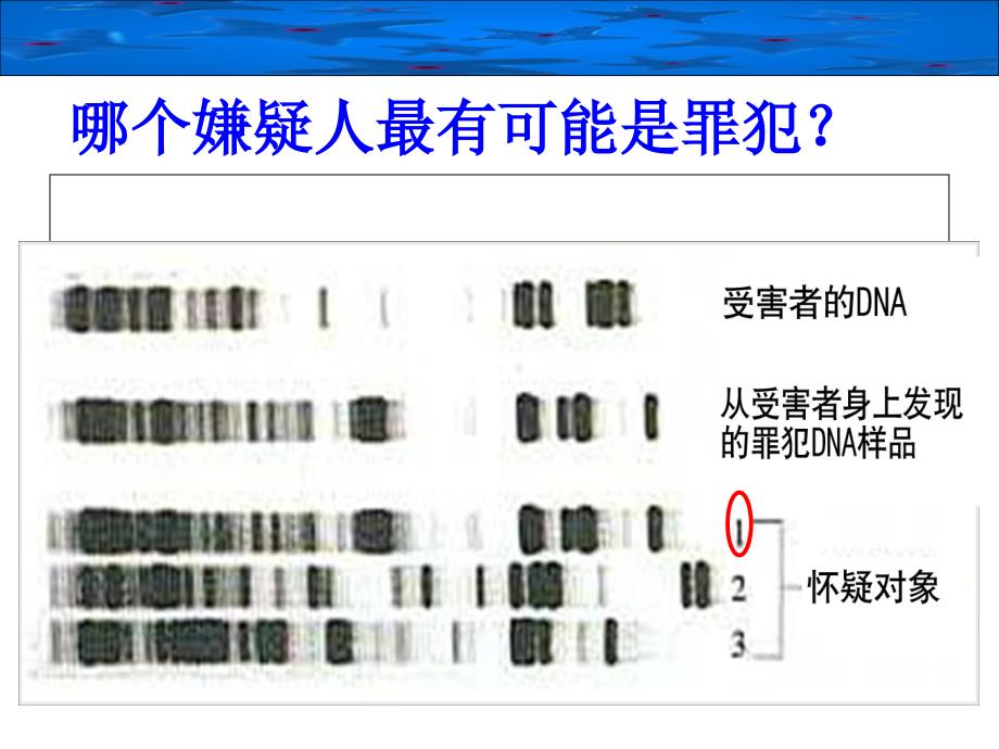 23遗传信息的携带者——核酸_第1页