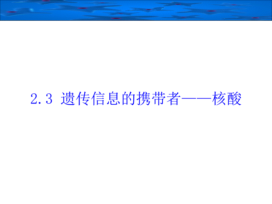 23遗传信息的携带者——核酸_第2页