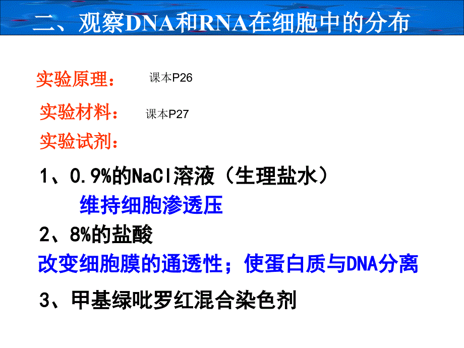 23遗传信息的携带者——核酸_第4页