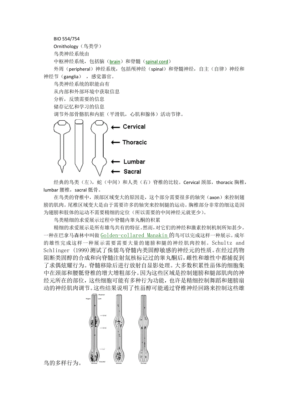 脑和感官——鸟类.docx_第1页