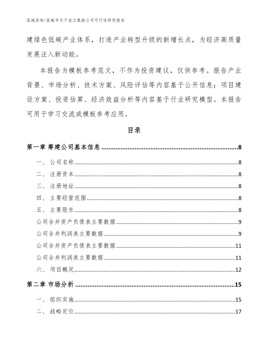 宣威市关于成立氢能公司可行性研究报告范文模板_第3页