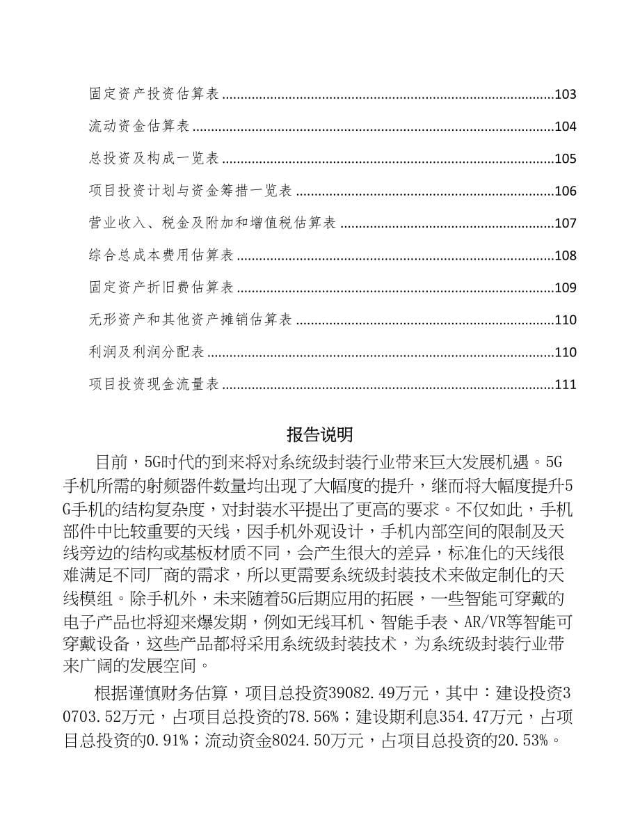 珠海半导体分立器件项目可行性研究报告(DOC 80页)_第5页