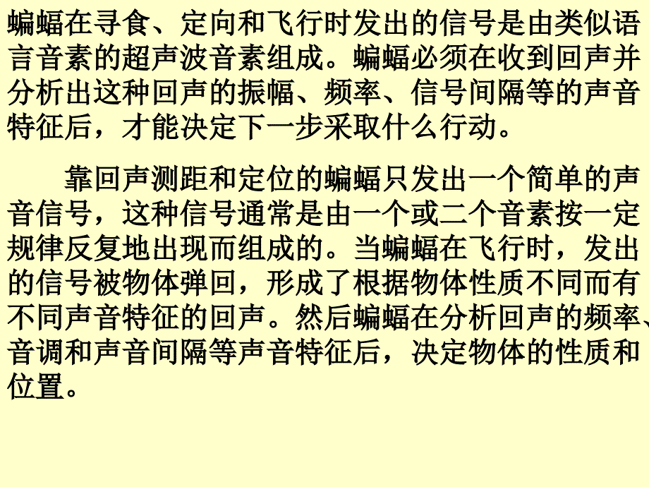 《蝙蝠和雷达》教学课件_第4页