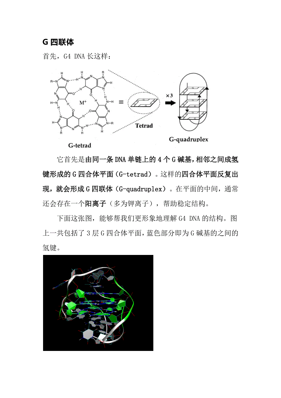 DNA可不只有双螺旋结构.docx_第3页