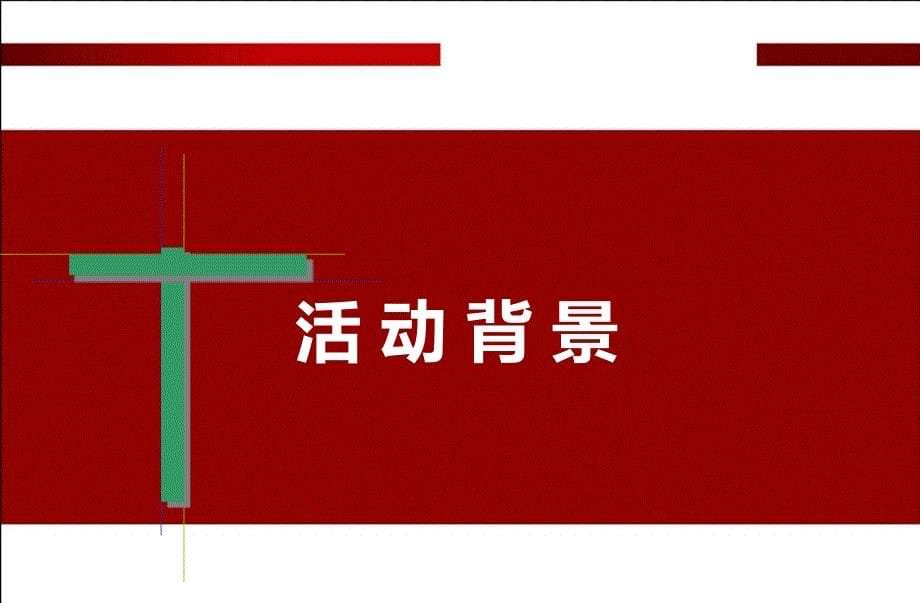 2010年电信行业集团客户年终答谢会活动策划方案_第5页