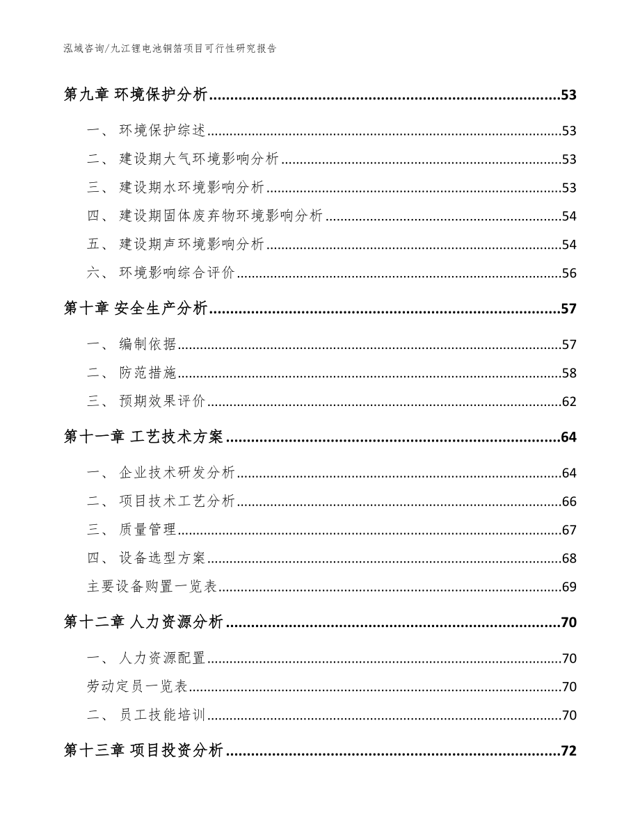 九江锂电池铜箔项目可行性研究报告_模板范本_第4页