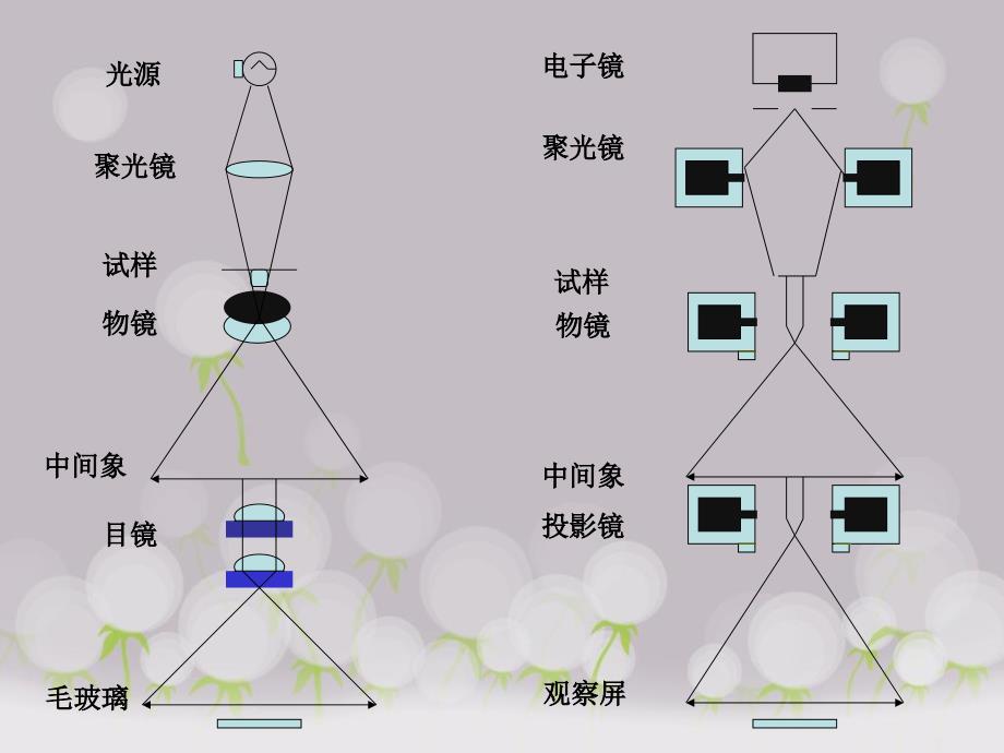 形貌分析电镜课件_第4页