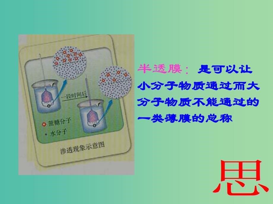 江西省吉安县高中生物 第四章 细胞的物质输入和输出 4.1 物质跨膜运输的实例（第1课时）课件 新人教版必修1.ppt_第5页