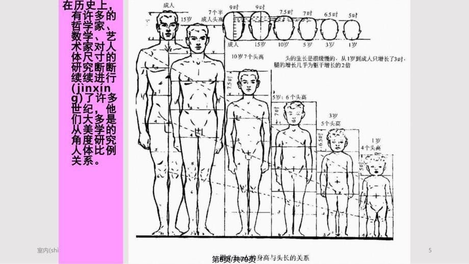 人体测量学与人体尺寸实用教案_第5页