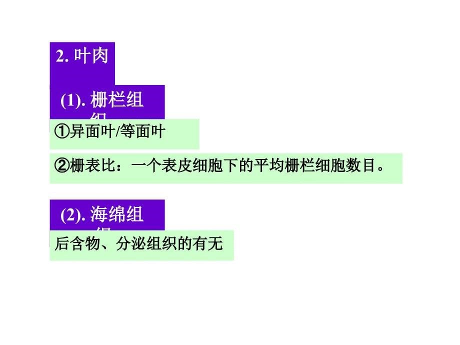 第十章叶类生药_第5页