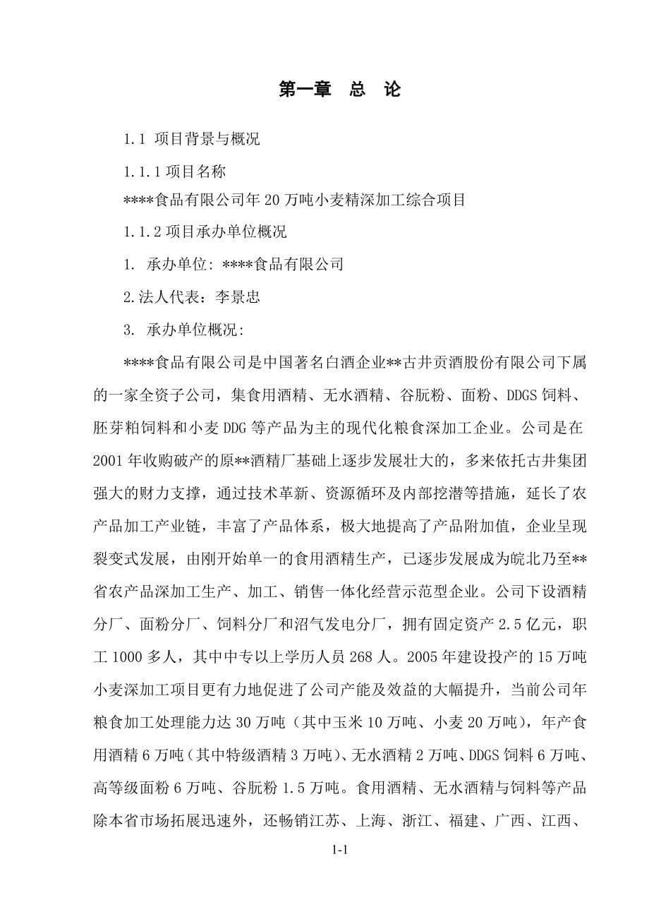 年20万吨小麦精深加工综合项目可行性研究报告.doc_第5页