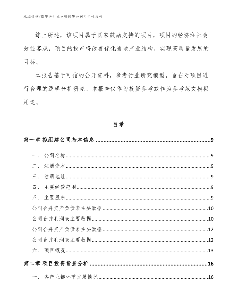 南宁关于成立碳酸锂公司可行性报告_范文_第3页