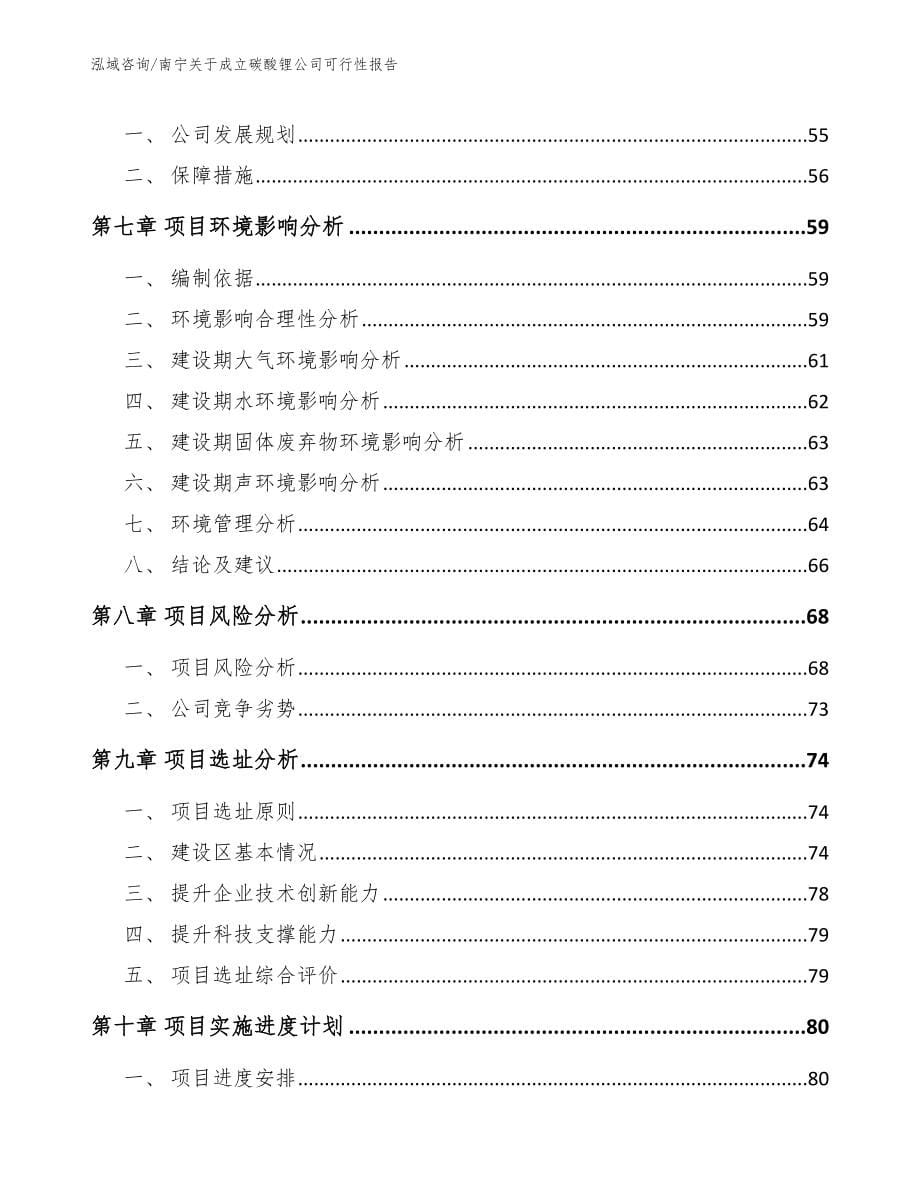 南宁关于成立碳酸锂公司可行性报告_范文_第5页