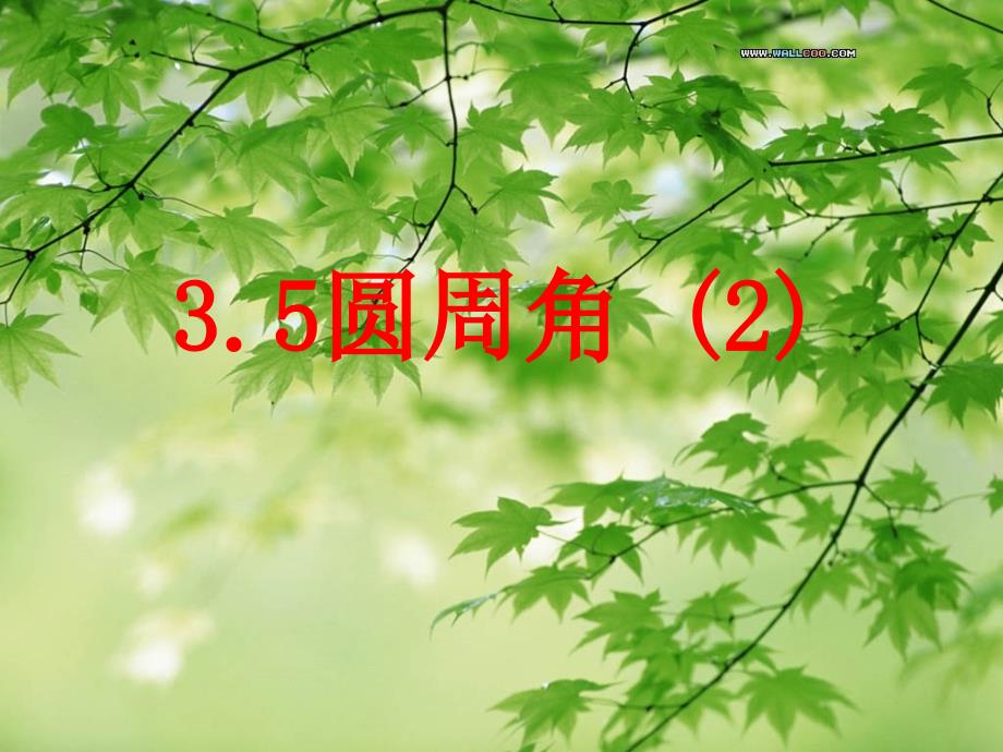 34圆周角(2)816_第1页