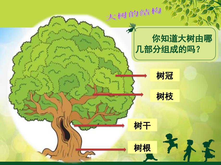 2022年小学生美术第19课大树的故事冀美版(18张)ppt课件_第3页