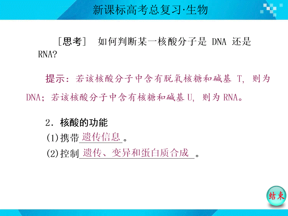 必修1第一单元第4讲核酸糖类和脂质_第3页