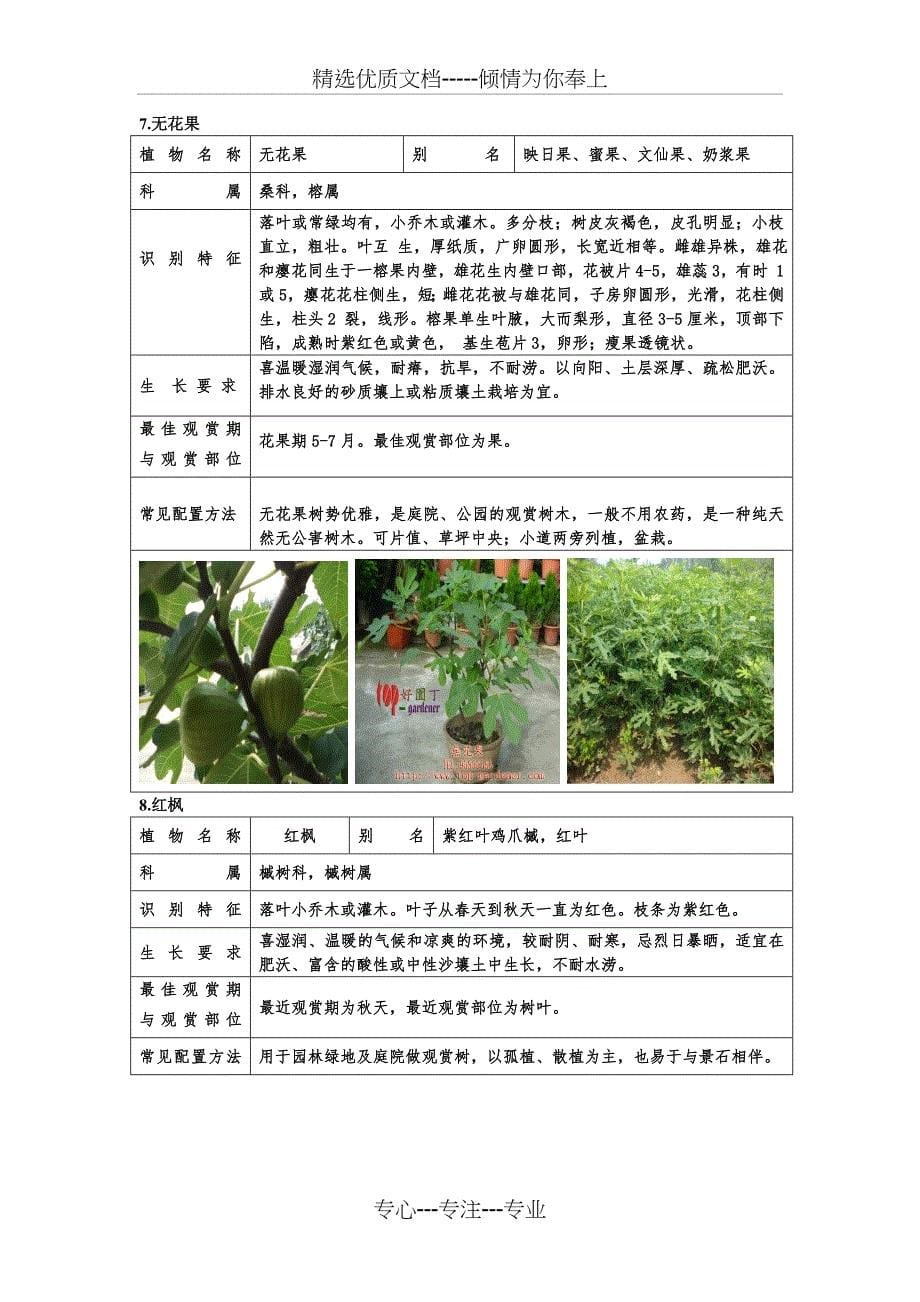 北方常见灌木_第5页