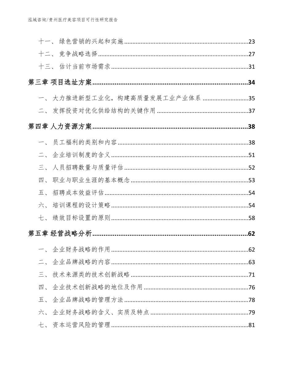 贵州医疗美容项目可行性研究报告（模板参考）_第3页