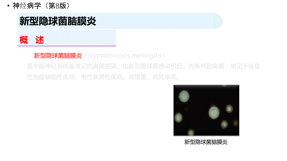 第-版神经病学-中枢神经系统感染性疾病课件_第5页