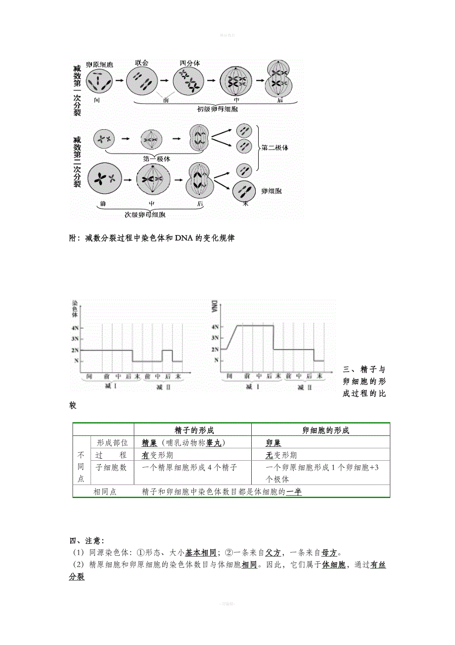 高中生物必修二知识点总结(精华版).doc_第2页