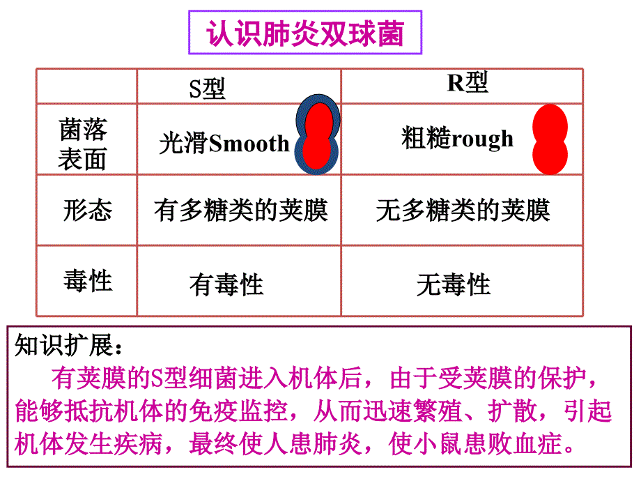 17DNA是主要的遗传物质_第4页