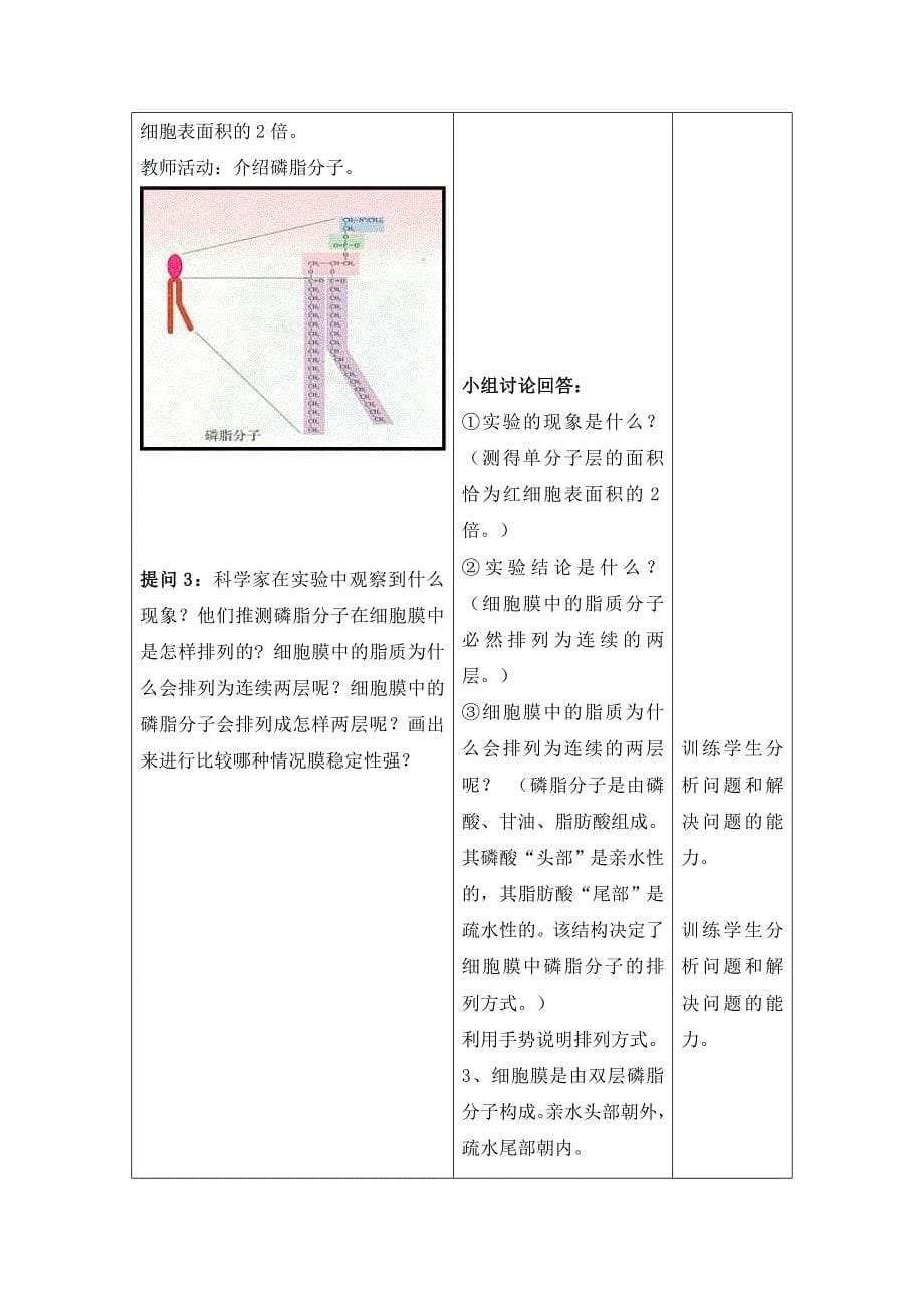 生物膜的流动镶嵌模型教案_第5页