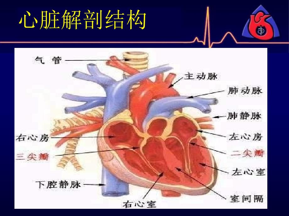 体外起搏PPT课件_第4页