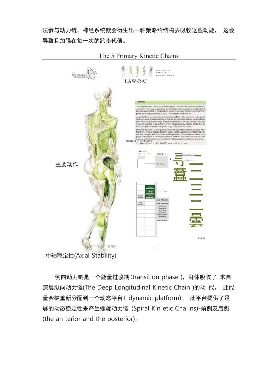 人体五大动作链系统_第5页