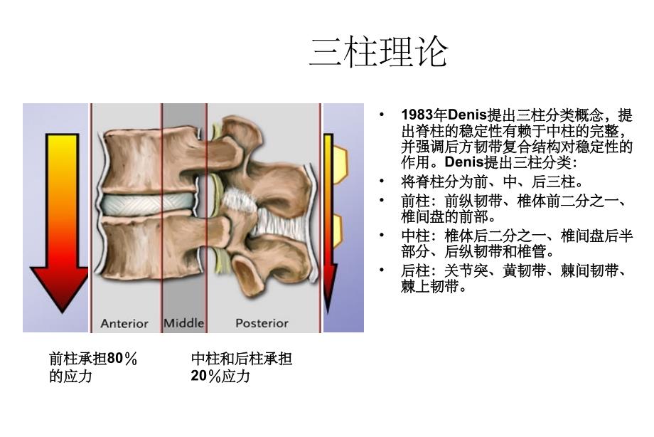 脊柱内固定原理_第3页