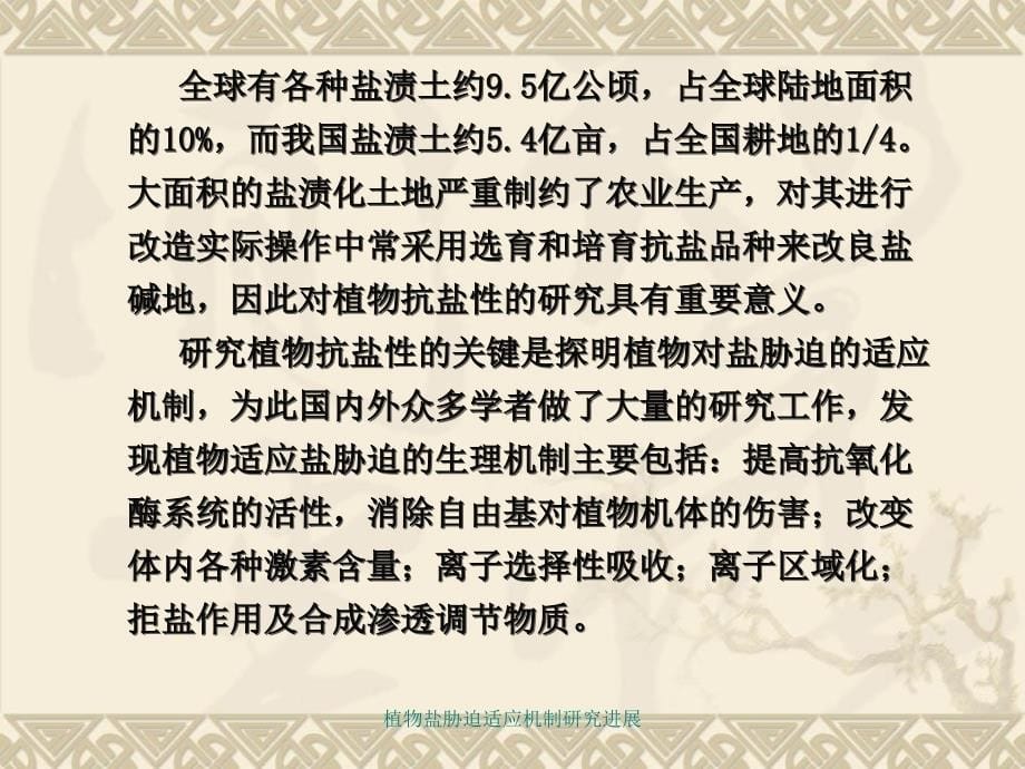 植物盐胁迫适应机制研究进展课件_第5页