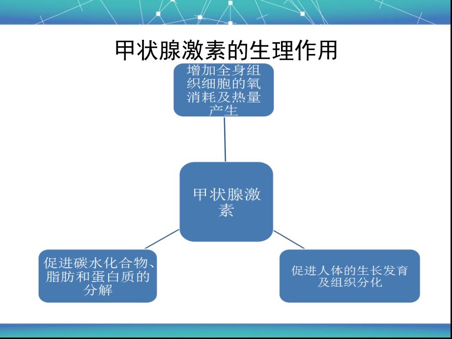 《甲亢药物治疗》PPT课件.ppt_第4页