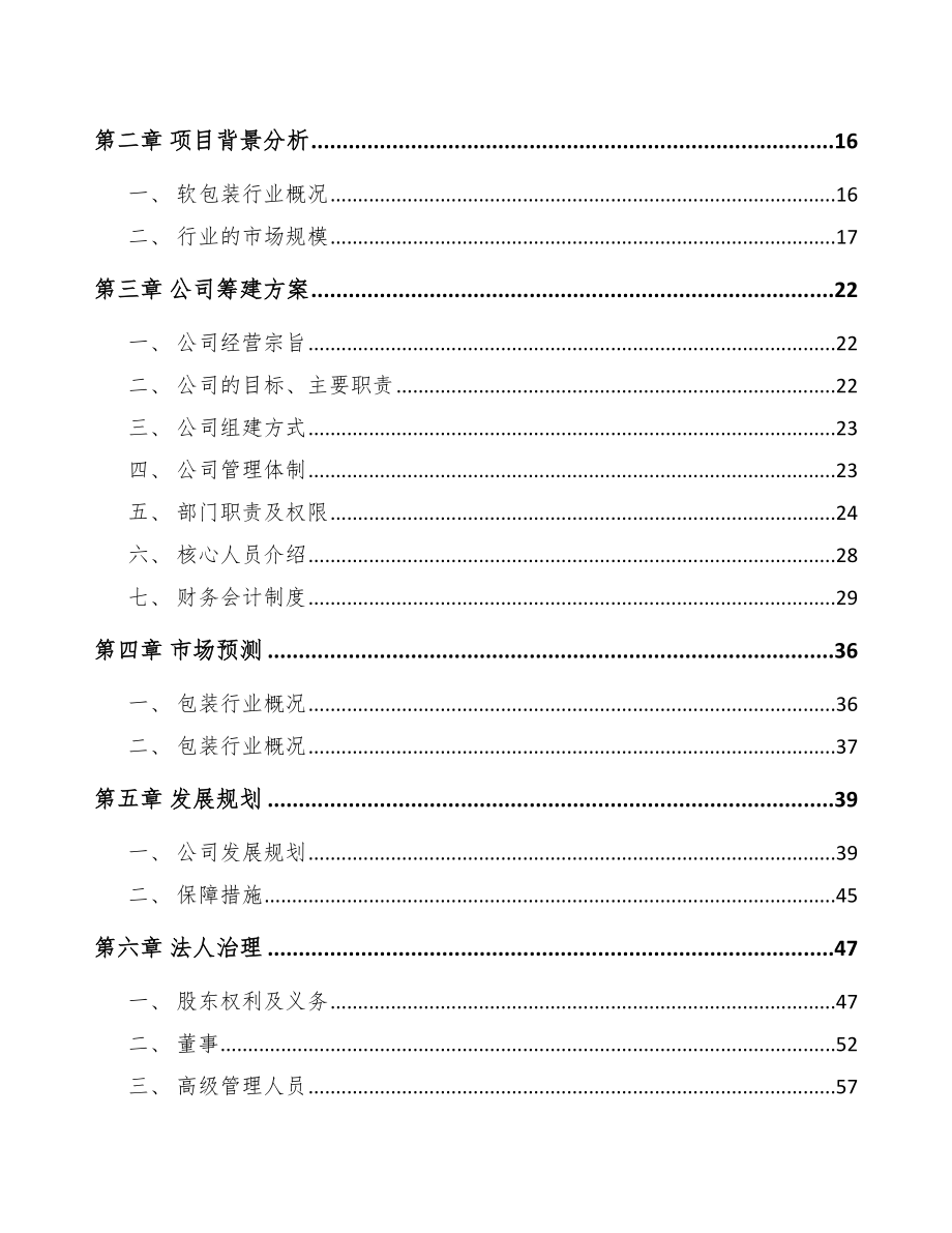 河南关于成立软包装产品公司可行性研究报告_第4页