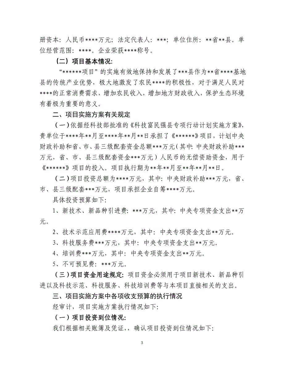 科技富民强县项目专项审计报告模板_第3页