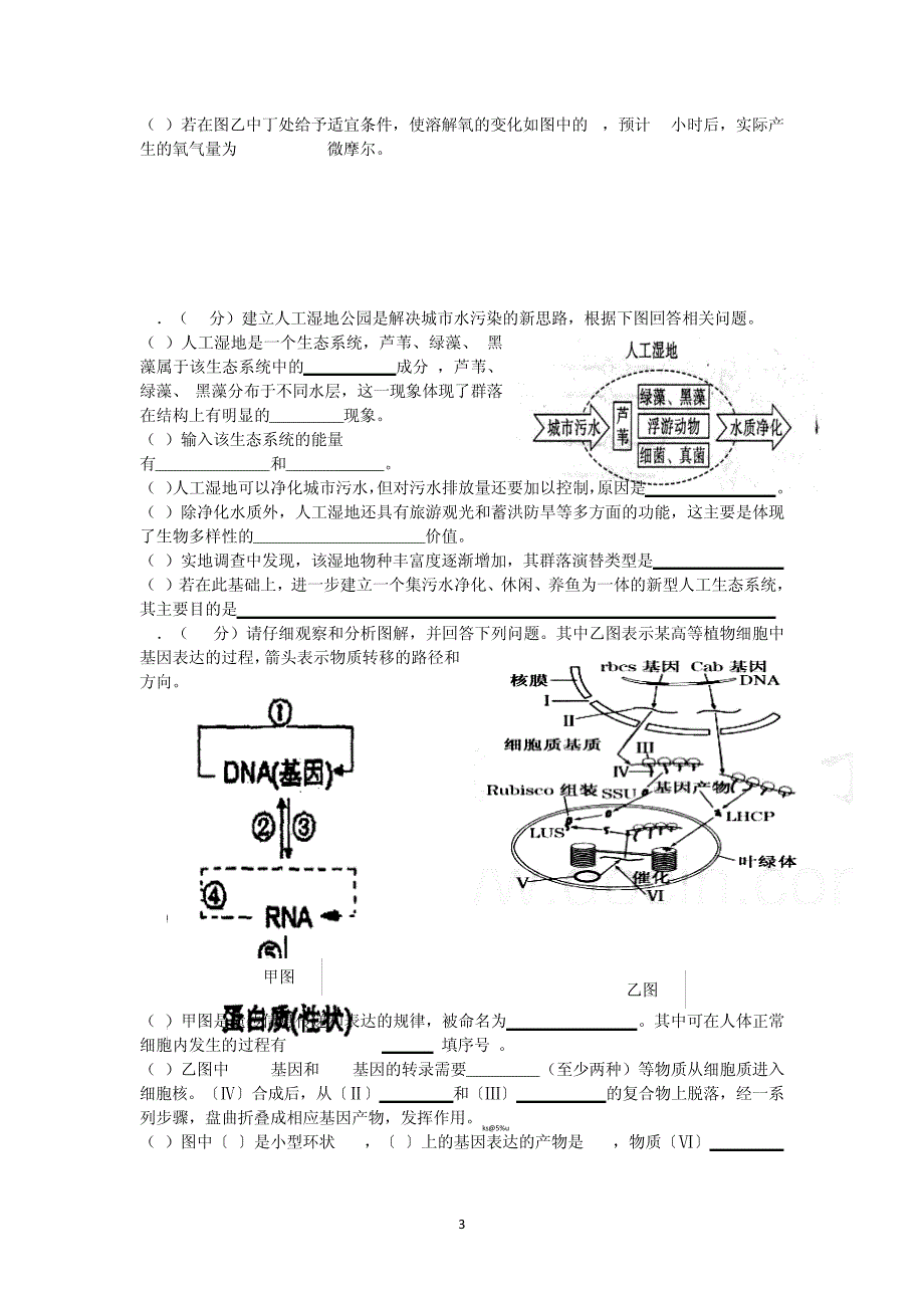 珠海市2012年9月高三摸底考试理综生物_第3页