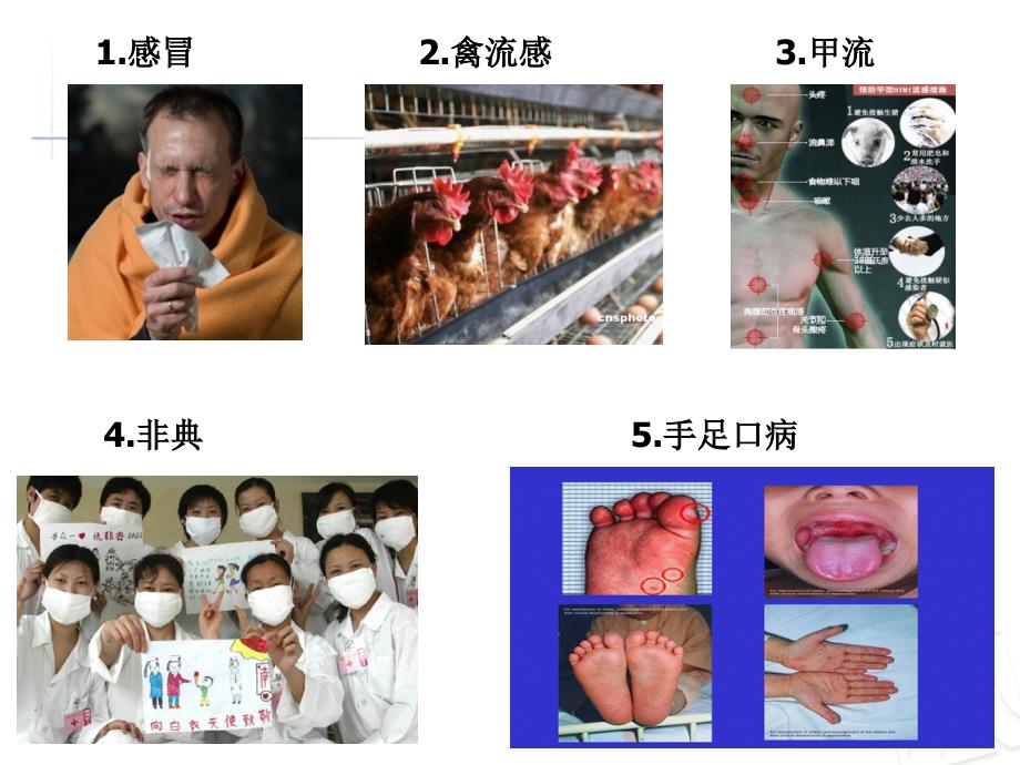 病理生理学课件 发热PPT课件02_第2页