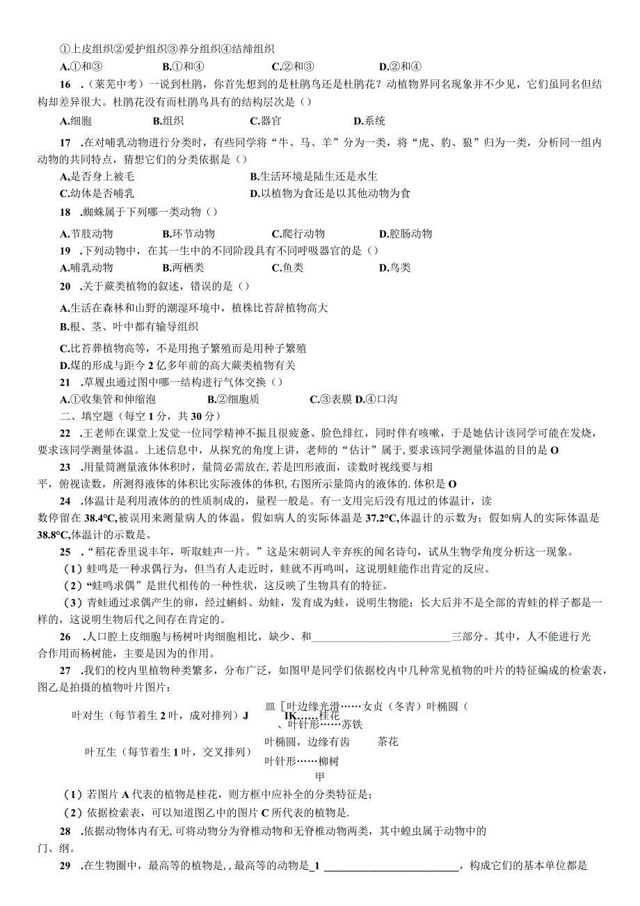 2023年秋七年级科学上册浙教版习题：期中测试_第3页