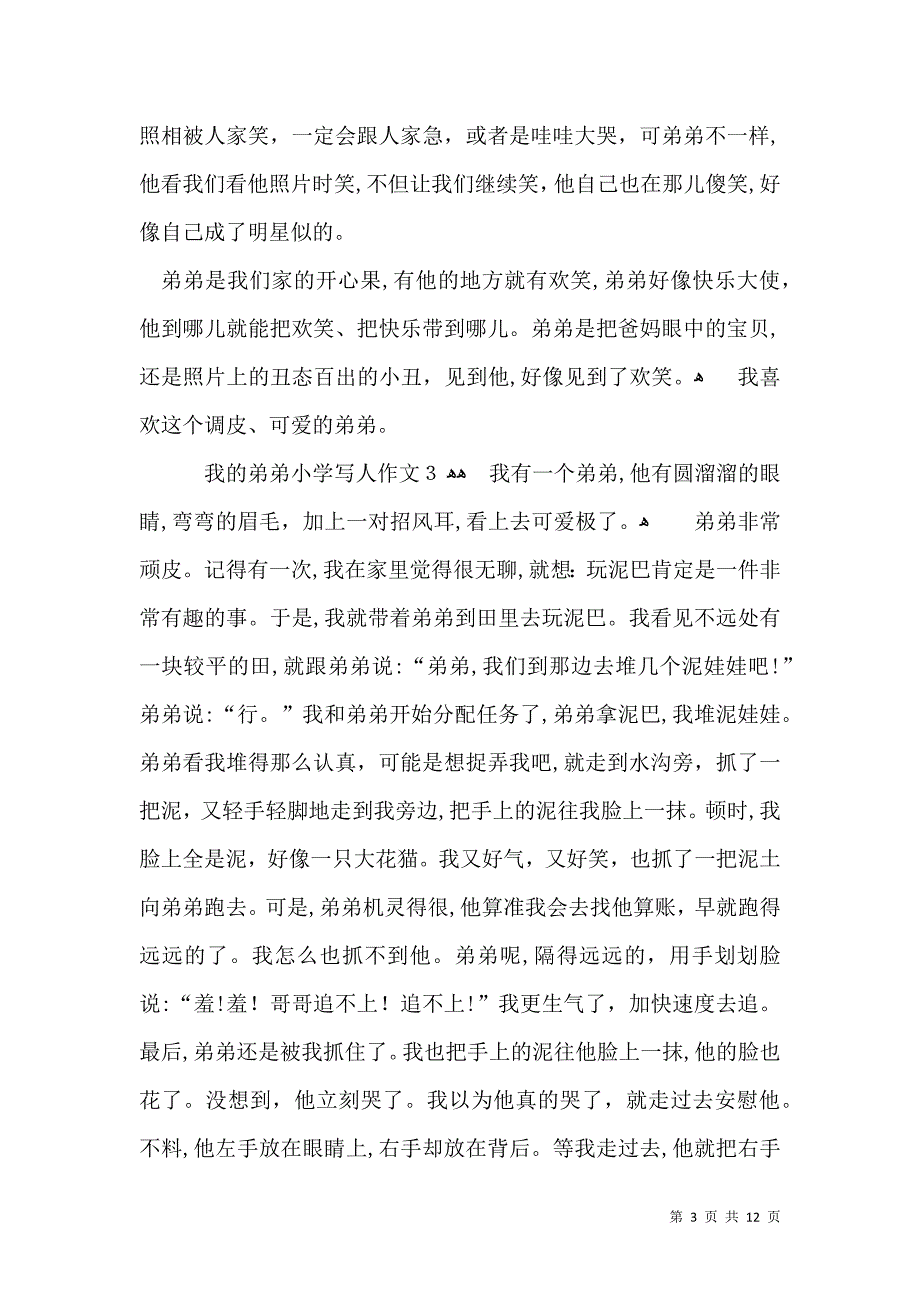 我的弟弟小学写人作文13篇_第3页