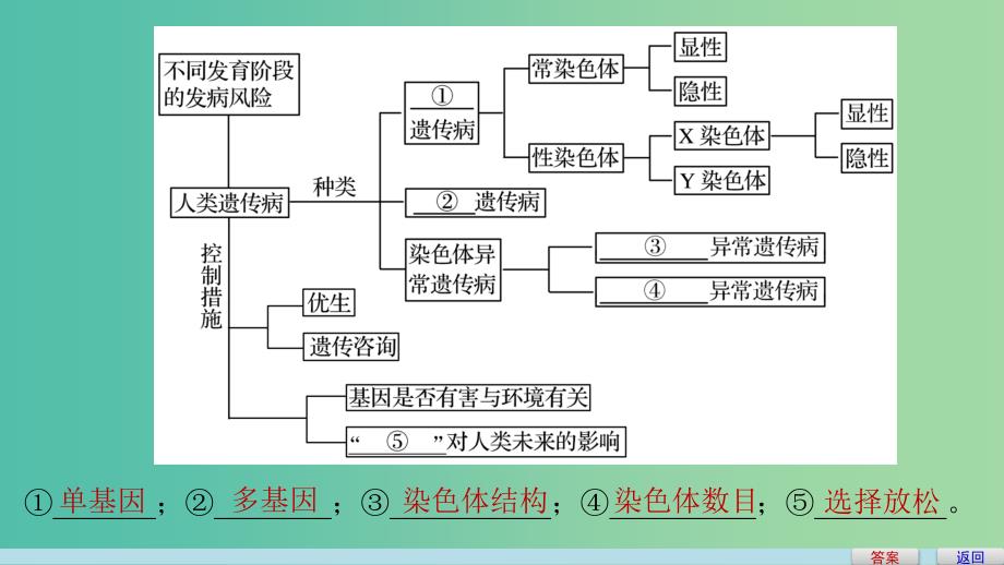 高中生物 第六章 遗传与人类健康章末整合提升课件 浙科版必修2.ppt_第4页