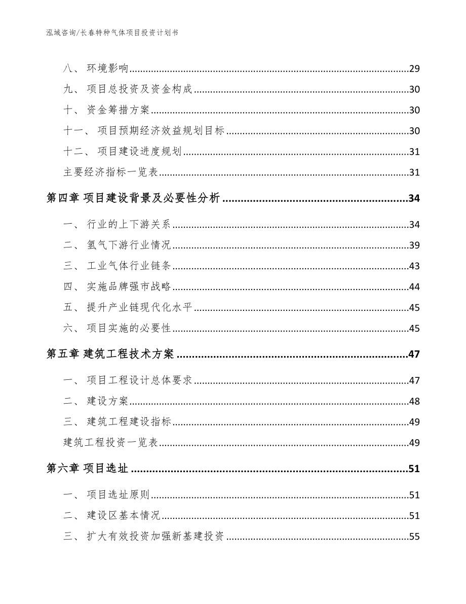 长春特种气体项目投资计划书参考范文_第2页