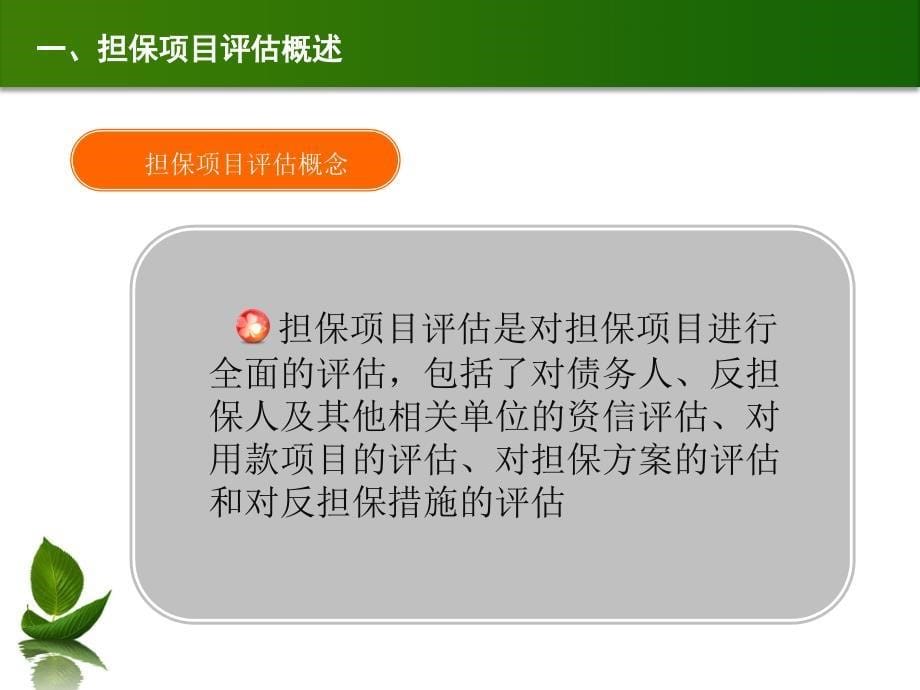 担保项目及反担保措施评估概论_第5页