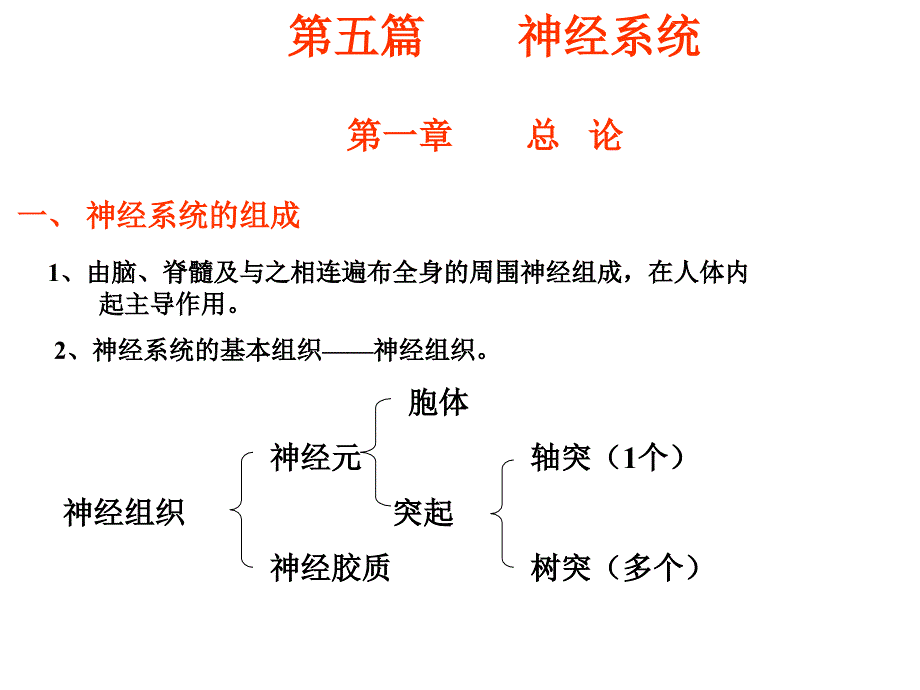 神经总论及脊髓PPT课件_第1页