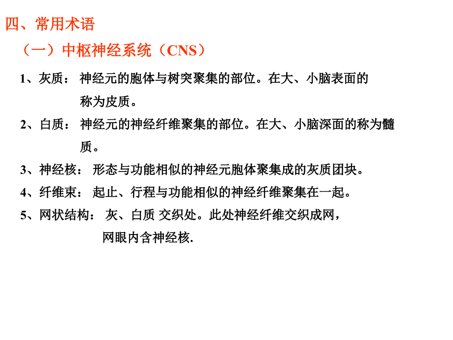 神经总论及脊髓PPT课件_第4页