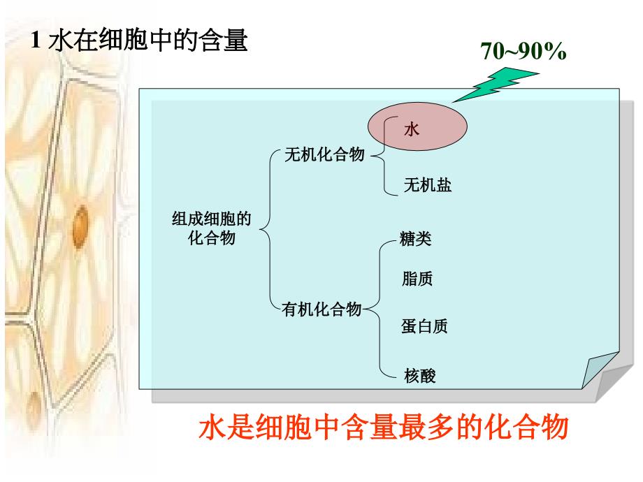 人教版新教材《细胞中的无机物》课件1_第2页