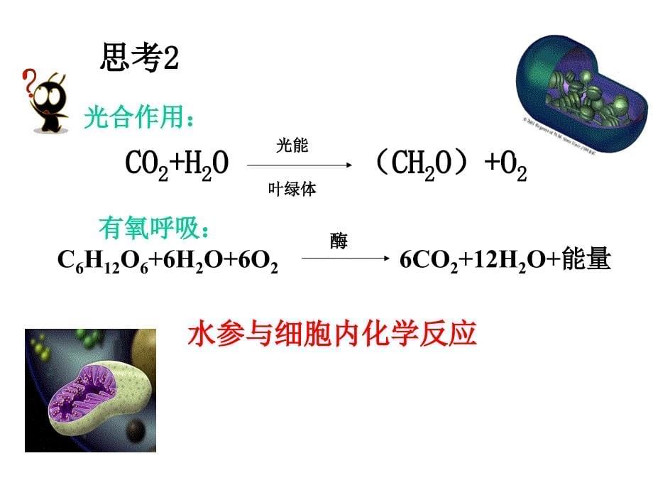 人教版新教材《细胞中的无机物》课件1_第5页