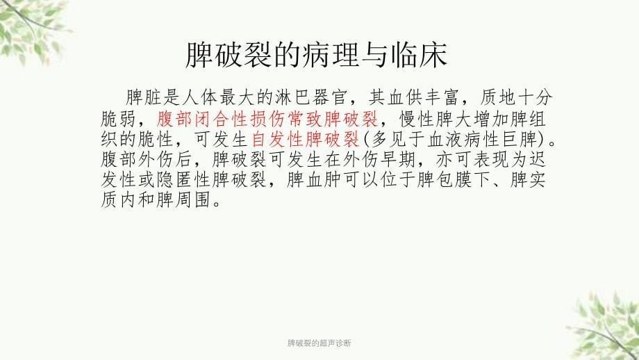 脾破裂的超声诊断课件_第5页