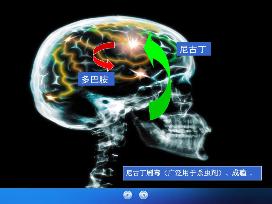 简短戒烟干预培训.ppt_第2页